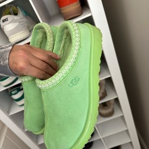 UGG tasmans